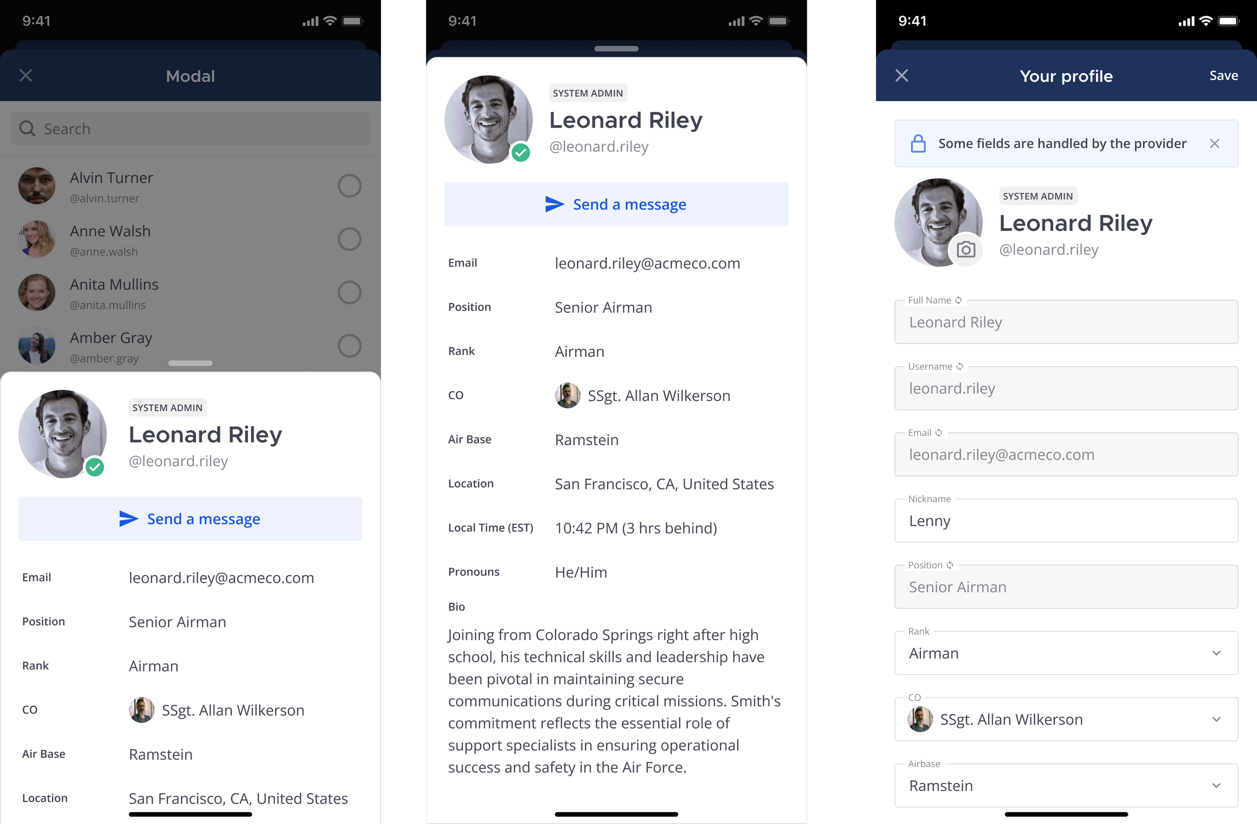 Mobile examples of a user profile with custom profile attributes added as system properties.
